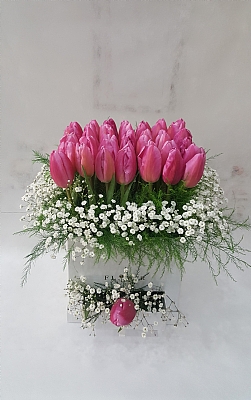 Kutu erisinde Pembe Laleler